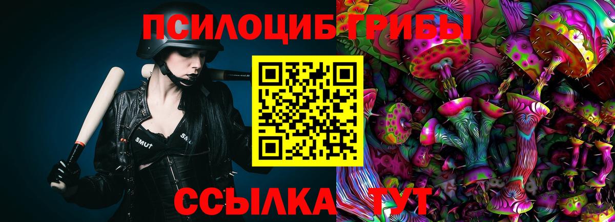 Псилоцибиновые грибы Psilocybine cubensis Нижний Тагил